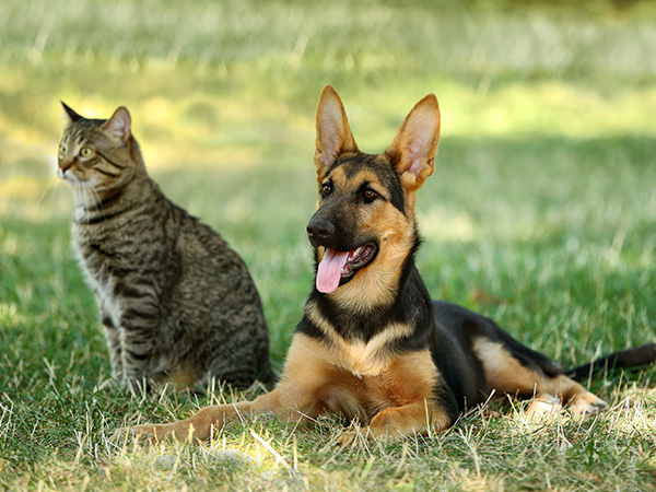 New Clients Our Team